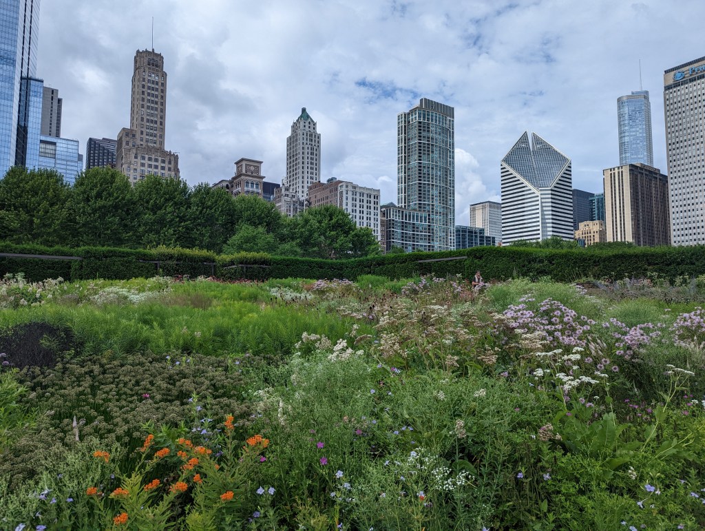 The Lurie Gardens in Millennium Park