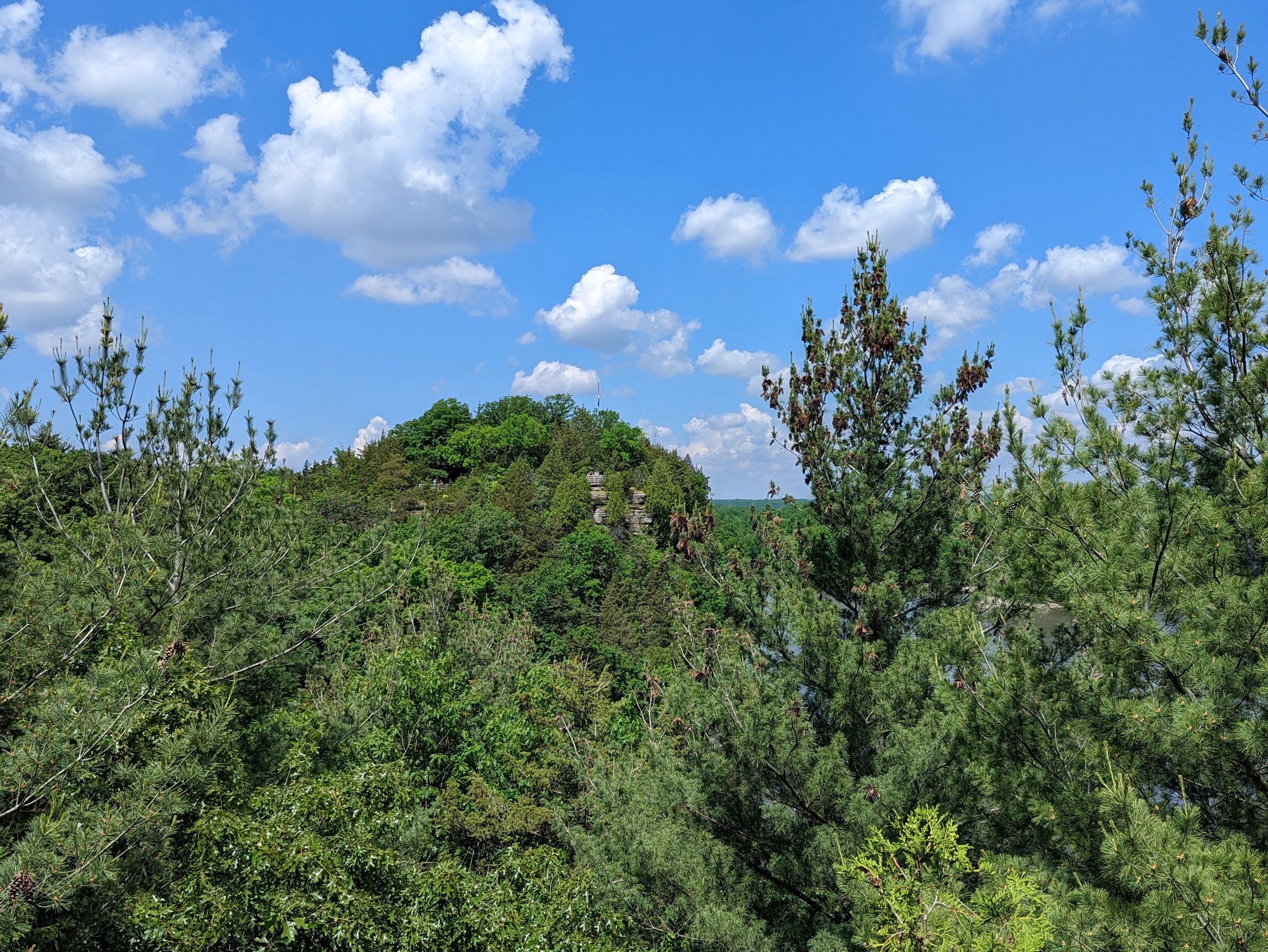 The view of the Starved Rock bluff from Lover's Leap overlook